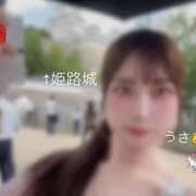 ヒメ日記 2026/09/14 12:08 投稿 うさ 千葉ミニスカM性感学園