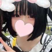 ヒメ日記 2026/06/10 05:06 投稿 まこと IRIS(岐阜)