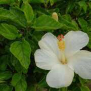 ヒメ日記 2026/07/14 05:46 投稿 園田あいか MADAM