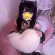 ヒメ日記 2026/07/11 19:25 投稿 ゆゆぴ E+アイドルスクール新宿・歌舞伎町店