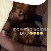 ヒメ日記 2026/09/26 18:03 投稿 なお チェリー