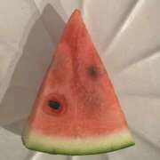ゆじん 🍉 ハピネス東京