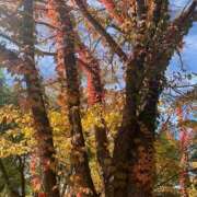 ゆじん 🍂 ハピネス東京