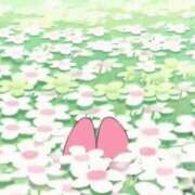 ヒメ日記 2026/07/10 07:15 投稿 るり チェリーデイズ新宿店