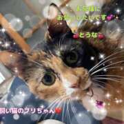 ヒメ日記 2026/06/20 12:41 投稿 守山とうな TOKYO五十路マダムin池袋（カサブランカグループ）