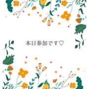 ヒメ日記 2026/06/17 08:22 投稿 千尋 出会い系人妻ネットワーク 渋谷〜目黒編