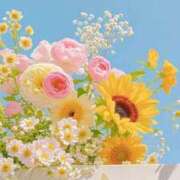 吉岡 ひなた 🌻16:00～ 絢(あや)