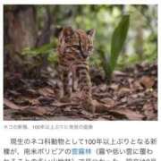 ヒメ日記 2026/09/20 12:03 投稿 まひな マダムン谷九
