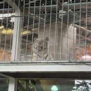 ヒメ日記 2026/09/25 13:32 投稿 まひな マダムン谷九