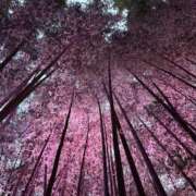 ヒメ日記 2026/10/04 13:42 投稿 まひな マダムン谷九