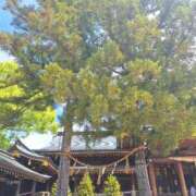 ヒメ日記 2026/06/17 13:58 投稿 なつき GODZUMA（ゴッヅマ）