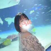 ヒメ日記 2026/07/01 20:28 投稿 いろは ノーパンエステ!?絶頂させる天使たち