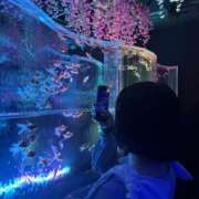 ヒメ日記 2026/06/09 20:00 投稿 えり かりんと吉祥寺