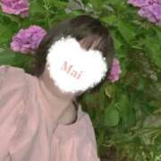 ヒメ日記 2026/06/16 12:15 投稿 まい ぷるるん小町 京橋店