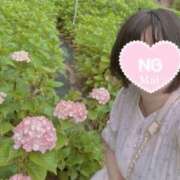 ヒメ日記 2026/07/05 13:00 投稿 まい ぷるるん小町 京橋店