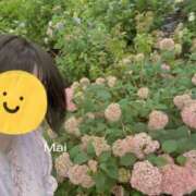 ヒメ日記 2026/07/11 15:58 投稿 まい ぷるるん小町 京橋店