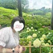 ヒメ日記 2026/07/11 16:13 投稿 まい ぷるるん小町 京橋店