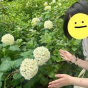 ヒメ日記 2026/07/11 16:57 投稿 まい ぷるるん小町 京橋店