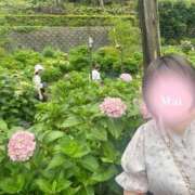 ヒメ日記 2026/07/19 10:00 投稿 まい ぷるるん小町 京橋店