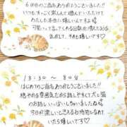 ヒメ日記 2026/10/08 08:48 投稿 よもぎ 静岡♂風俗の神様 静岡店