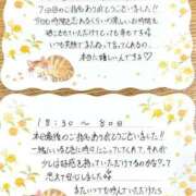 ヒメ日記 2026/10/08 08:52 投稿 よもぎ 静岡♂風俗の神様 静岡店