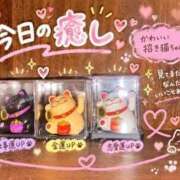 ヒメ日記 2026/10/01 12:06 投稿 さえ 2980円（にゃんきゅっぱ）