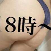ヒメ日記 2026/08/13 12:05 投稿 るい【業界未経験】 茨城水戸ちゃんこ