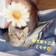 ヒメ日記 2026/06/13 11:51 投稿 みもざ 熟女家 十三店