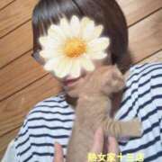 ヒメ日記 2026/06/17 06:16 投稿 みもざ 熟女家 十三店