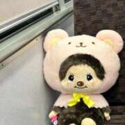 ヒメ日記 2026/07/14 07:31 投稿 まひろ ピンクコレクション大阪