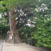 ヒメ日記 2026/06/15 13:35 投稿 あやね【業界未経験】 茨城水戸ちゃんこ