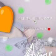 ヒメ日記 2026/08/31 16:45 投稿 あやね【業界未経験】 茨城水戸ちゃんこ