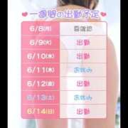ヒメ日記 2026/06/08 20:34 投稿 しの I❤HIMEJI（アイラブ姫路）
