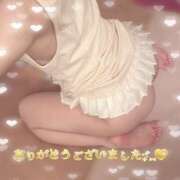 ヒメ日記 2026/07/29 11:04 投稿 しの I❤HIMEJI（アイラブ姫路）