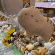 ヒメ日記 2026/08/05 07:33 投稿 乙花さき ウルトラプラチナム