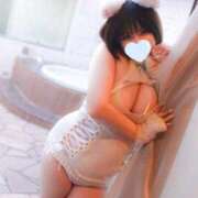 ヒメ日記 2026/06/15 11:15 投稿 絢瀬 熟女の風俗最終章 新横浜店