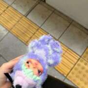 ヒメ日記 2026/10/14 22:16 投稿 さき★未経験×美巨乳な純白素人 S級素人清楚系デリヘル chloe