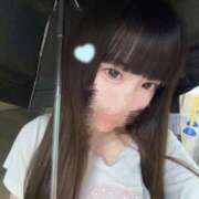 ヒメ日記 2026/07/28 16:19 投稿 本田みみ 池袋パラダイス