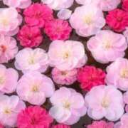 ヒメ日記 2026/06/13 06:08 投稿 きょうこ 花の都～人妻の都～ 延岡店