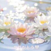 ヒメ日記 2026/07/07 07:08 投稿 きょうこ 花の都～人妻の都～ 延岡店
