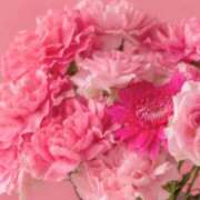 ヒメ日記 2026/07/17 09:57 投稿 きょうこ 花の都～人妻の都～ 延岡店