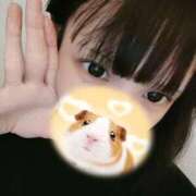 ヒメ日記 2026/07/08 08:01 投稿 あさり 桜色学園