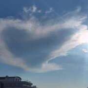 ヒメ日記 2026/07/21 09:38 投稿 江南（えなみ） あさがお