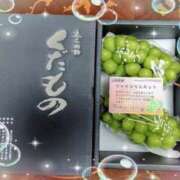江南（えなみ） 朝から幸せ♡シャインマスカット🍇✨ あさがお
