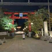 ヒメ日記 2026/10/21 20:18 投稿 江南（えなみ） あさがお