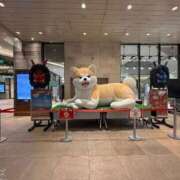 もえ 間違えちゃった💦 ちゃんこ千葉東金店