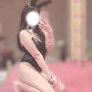 ヒメ日記 2026/06/23 05:45 投稿 ましろ JAPAN CLUB BUNNY LOUNGE