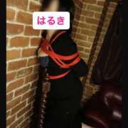 ヒメ日記 2026/06/08 15:25 投稿 はるき 奥鉄オクテツ東京店（デリヘル市場）
