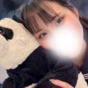 ヒメ日記 2026/06/30 05:45 投稿 こはく JAPAN CLUB BUNNY LOUNGE