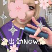 ヒメ日記 2026/06/09 15:58 投稿 白咲 熟女の風俗最終章 横浜本店